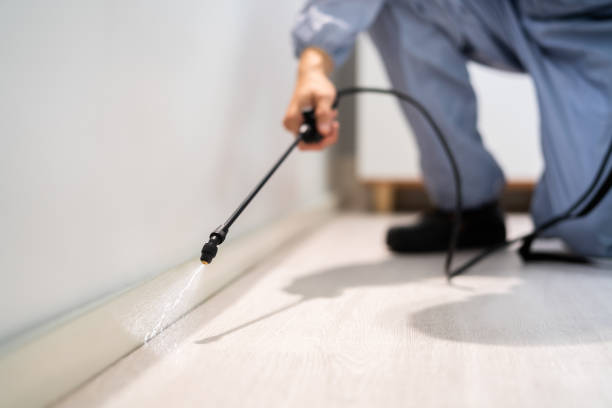 Licensed Termite Control service in Arlington, VA - Nex Pest Control