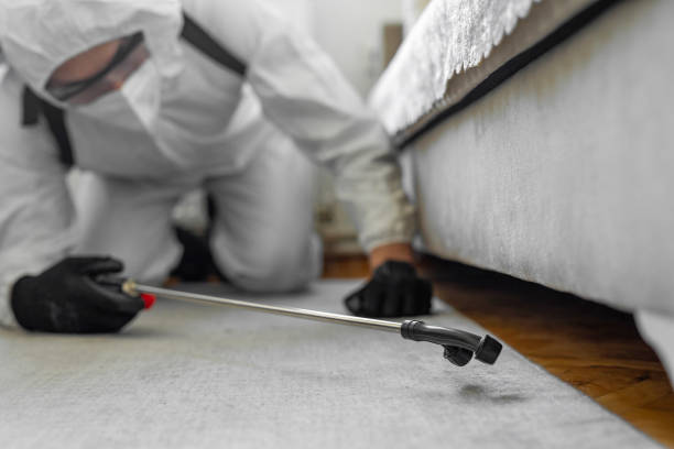 Professional Termite Control technician working in Arlington, VA
