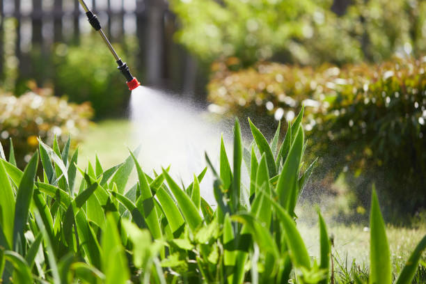 24/7 Emergency Termite Control experts in Arlington, VA