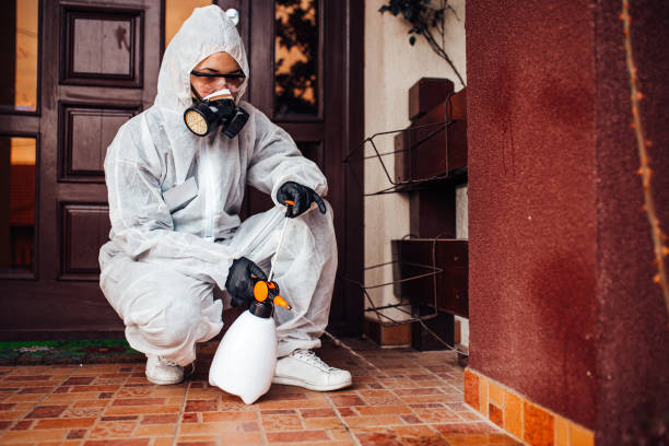 Reliable Termite Control contractor in Arlington, VA by Nex Pest Control
