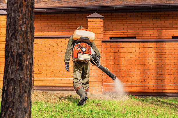 Top rated local Termite Control specialists in Arlington, VA
